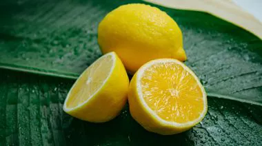 garnishing-instructions-image